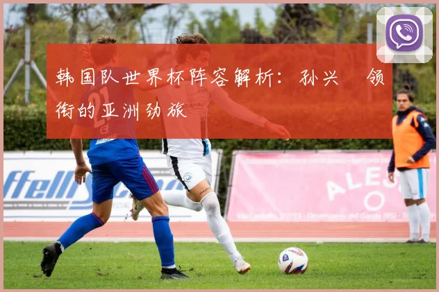 韩国队世界杯阵容解析:孙兴慜领衔的亚洲劲旅